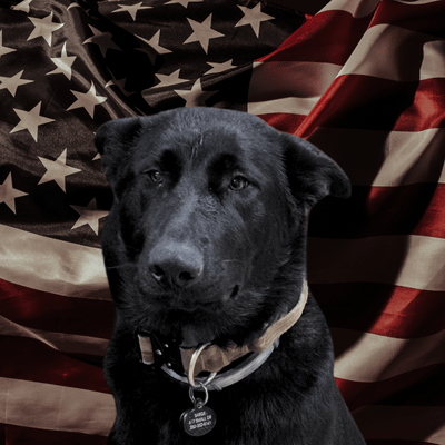 Sarge portrait logo